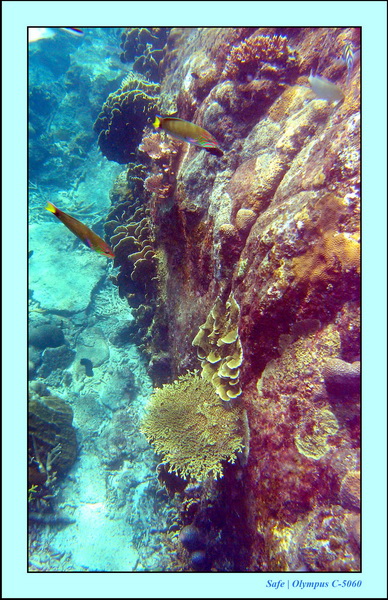 2005 - 08 - Redang  - 106.JPG